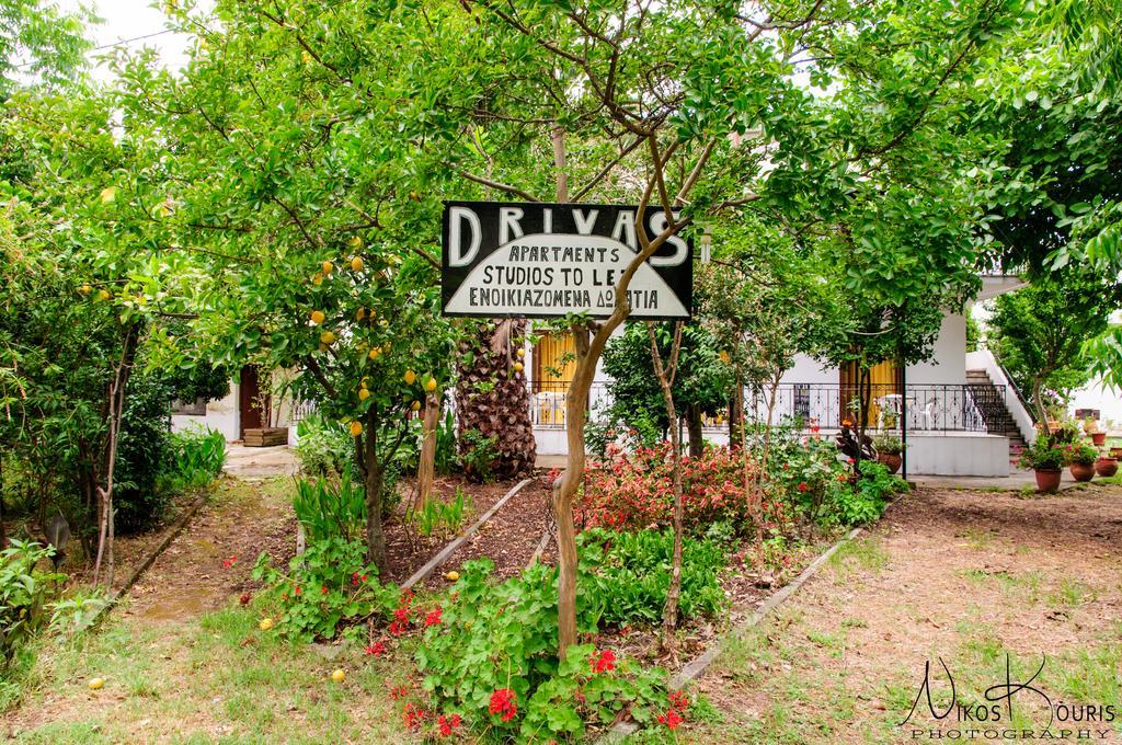 Drivas Apartments Platanias  Esterno foto